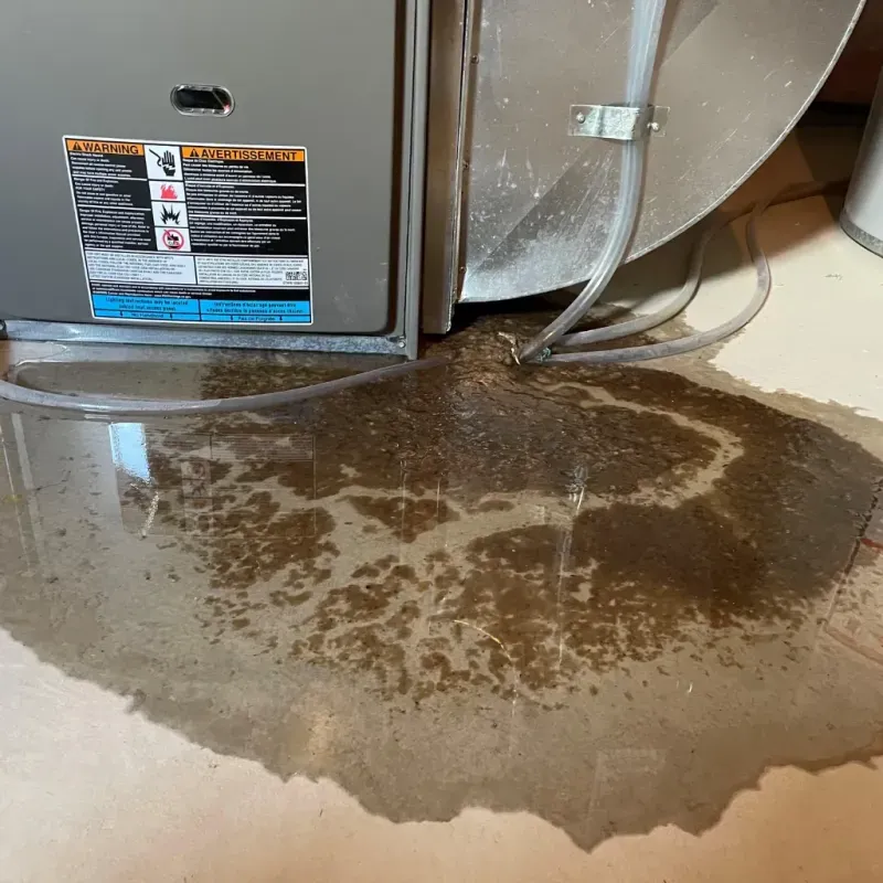 Appliance Leak Cleanup in Montclair, CA